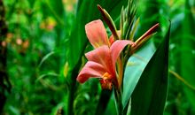 原创 在一起就得给他足够的安全感，深情需要另一半的真心来维持的属相