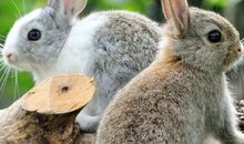 财从天降，本周末幸福值最高的三生肖，身心愉悦且不断有好事发生