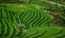 未来10天内，天赐大吉兆，富贵蹭蹭涨的4个生肖