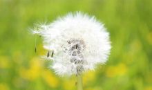 爱情中，控制欲最强的三大星座，就算遍体鳞伤，也非要分出胜负