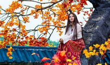 1964年的人生运程如何(图文)