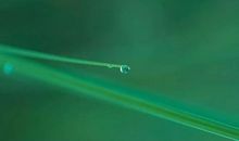 10月运势不佳，11月财气大旺，四大生肖福禄无穷