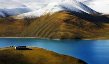 11月中旬，富贵之命，财运如虹，无灾无难的四大生肖