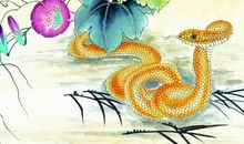 个性低调，知书达理，与人交往保持着谦虚的态度的生肖