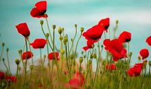 10月25号开始发福又开运，有望赚得千万家财的生肖，生活无忧