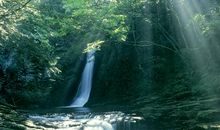 财神点名：必暴富！11月上旬，财富如雨，家财数不清的三属相
