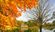 九月下旬，旧情复燃，前任出现，无法摆脱旧爱的几个星座