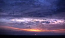 2号起富贵长寿，衣食无忧的四大生肖，日子枯木逢春