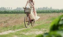 包店应当如何取名，才能彰显创意？