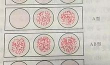 血型揭秘12星座睡姿，A型的人睡觉最不踏实