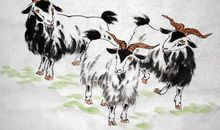 再过一周，这几个生肖人，能够喜上眉梢一直旺到年底