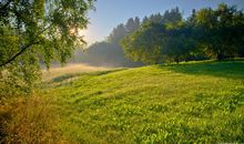 恭喜，29，30号好运100%，11月一发发大财，3生肖喜事临门，日子越过越风光