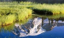 11月展翅高飞，接住好运，大富大贵的四大生肖