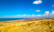 恭喜，28.29号大喜从天降，财神点名3生肖，天上掉财、地上生金， 天天哈哈笑