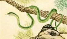 2019年，有“新婚”之喜，爱情来的太突然，添丁又进财的生肖