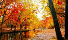 2019猪年出生的姓夹谷男孩怎么样起名字 姓夹谷男孩好名推荐(图文)