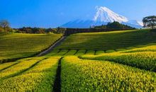 9月到来前财星护身，3生肖有横运大财，一路赚不停，钞票不再缺！