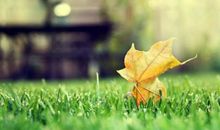 郑博士一周生肖运势（8.19-8.25）