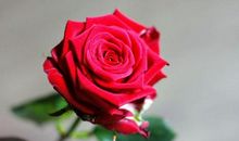 10月19号开始运势大逆袭，这四生肖喜事接踵而至，正财运势不断提高!