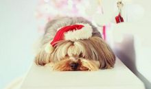 这三大生肖女命中有福，生来旺夫，越来越有钱，谁娶谁暴富！