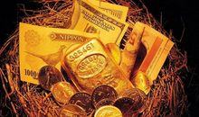 11月初开始喜鹊报喜，名利兼得，富贵多金的3生肖