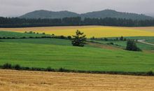 十二生肖2019年10月26日运气介绍：生肖鼠恋爱运气通俗，生肖牛身段上升