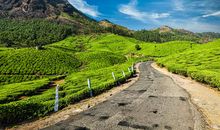 容貌平庸却很招桃花的生肖女