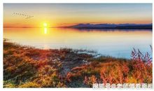 10月下周起，时来运转，事业运旺，将富贵起航的4大星座！