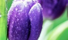 年底手握大权，大赚一笔的生肖，钱财越来越多，生活更加精彩