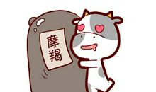 摩羯女和金牛男合适吗：氛围和谐，但缺乏激情