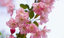 11月5号开始横财大发百万，旺到月底必暴富的生肖，进账不菲