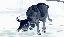 玄清风水命理：本月之后，贵人多助3大生肖，事业一帆风顺，好事不断