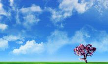 2019猪年出生的姓南门男孩怎么样起名字 姓南门男孩好名推荐(图文)