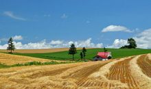 熬到8.25号，财运如虹，恭喜3生肖,金银无穷，富贵迟早到