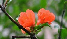 未来5天财运压身躲不掉，富贵连年旺的生肖，美满生活马上到来