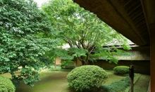 庭院风水看树木的布局，你栽对了吗？