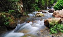 11月利路亨通，人脉宽广，打工能升官的4个生肖