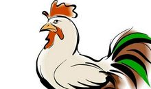 属鸡人2020年运势——四大运势(图文)