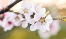 7天内3生肖财源滚滚，财富登门，闷声不响发大财