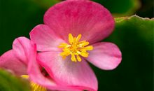 10月底，积极改变，心态越来越好，走出困境的三大星座