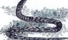 财运即将要翻涨的3个生肖，赚钱顺利，大喜临门，富裕将至