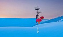 2019年小雪这天冲什么生肖,11月22日黄历时辰吉凶解析！(图文)