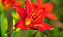 恭喜四生肖正偏财皆旺不停，10月19号开始财禄皆回来，数钱数到手软!