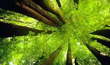 抽到桃花运上上签，感情势如破竹，珍惜眼前人的三大星座！