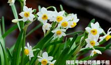 人逢喜事精神爽！3大生肖，在10月29号，红光满面，吉星庇佑