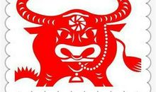 最旺妻的4大生肖男，嫁给他们你最好命！