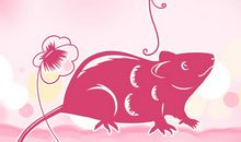 十二生肖这样播种可以给自己带来好运，秋天正好来个大丰收吧