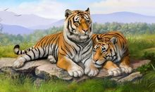 这三个生肖越胖越有福，贵人帮助，财源滚滚来