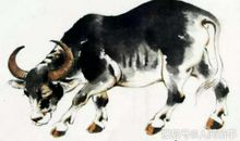 此3生肖儿女双全，日子苦尽甘来，晚年幸福美满，子女孝顺