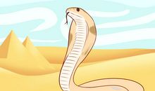 十二生肖当中，这3个生肖童年时候是乖小孩，成年以后懂事靠谱